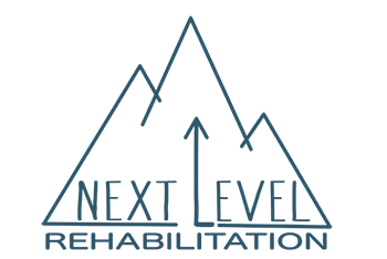 Next Level Therapy Logo